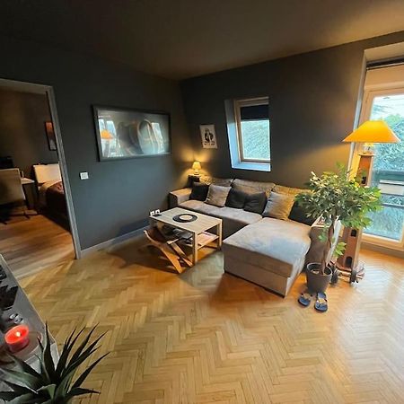 Appartement Cosy Le Chesnay ル・シェネ エクステリア 写真