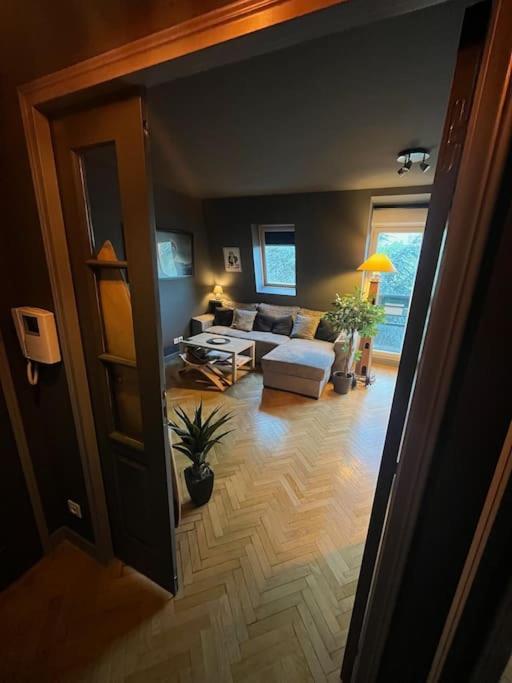 Appartement Cosy Le Chesnay ル・シェネ エクステリア 写真
